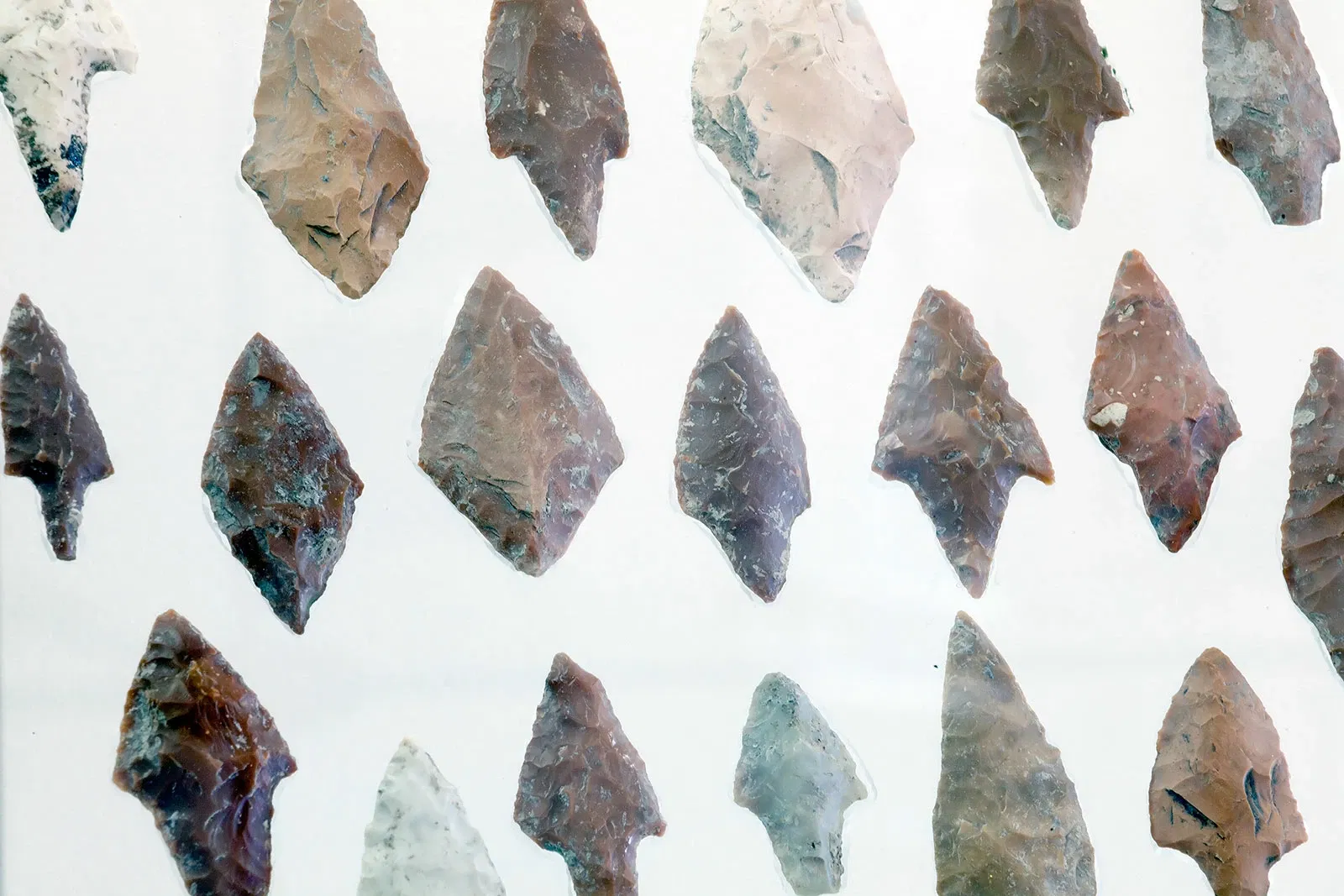 National Archaeological Museum of the Marches