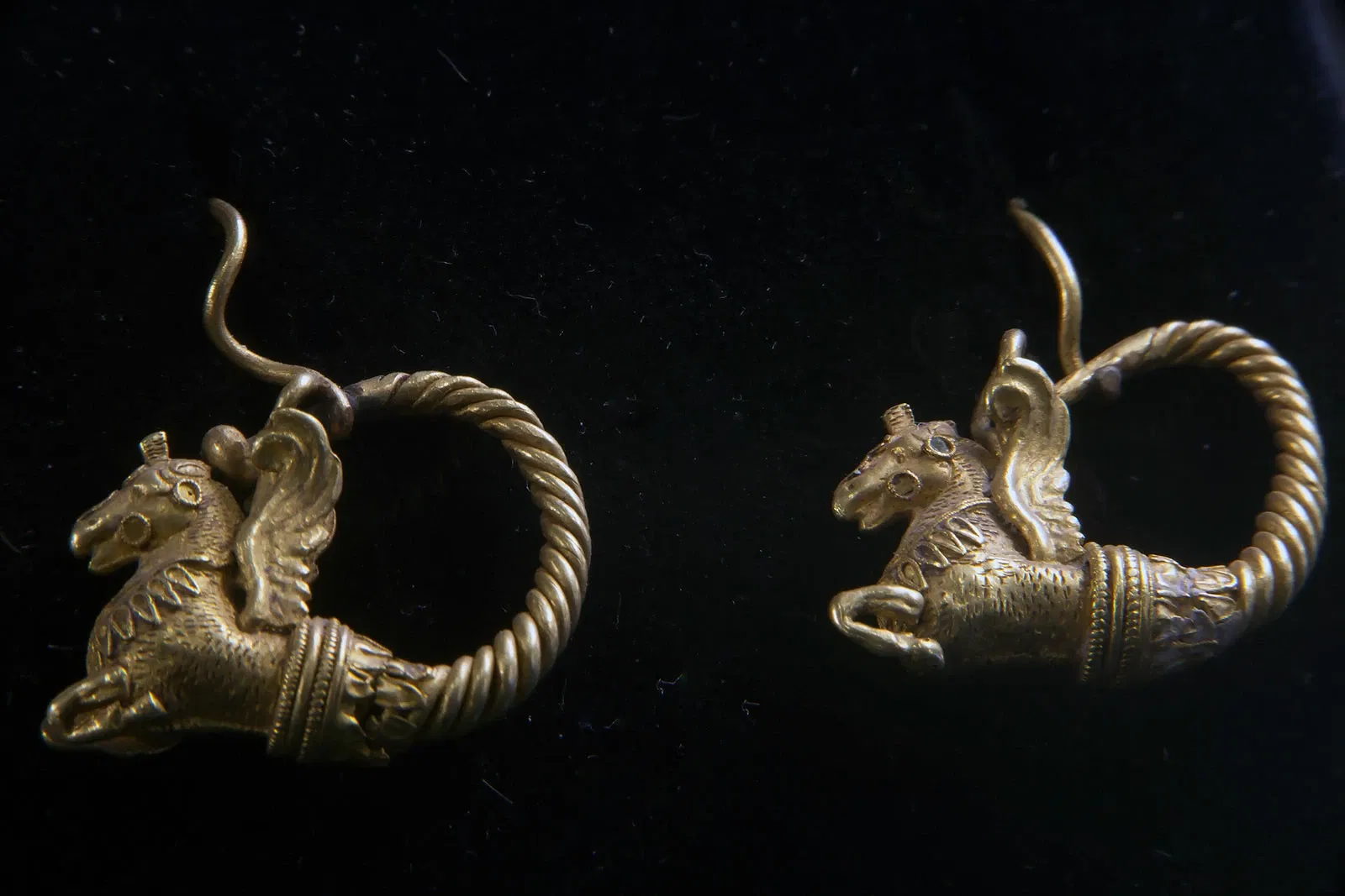 Museo Archeologico Nazionale delle Marche