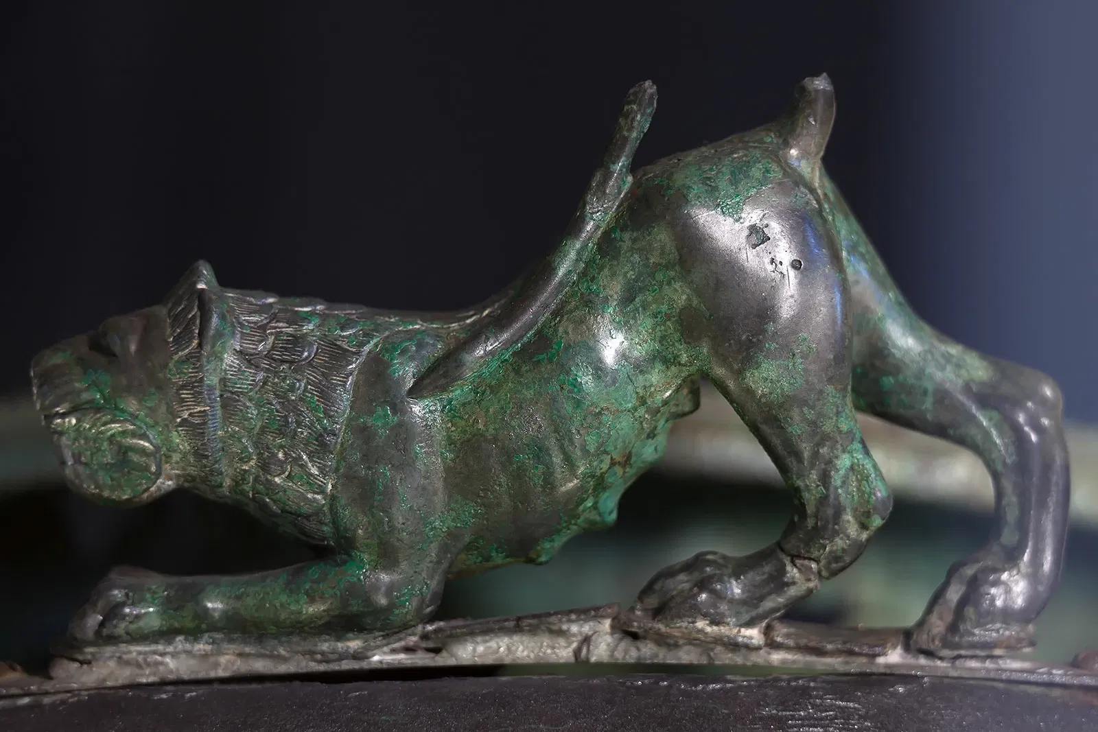 Museo Archeologico Nazionale delle Marche