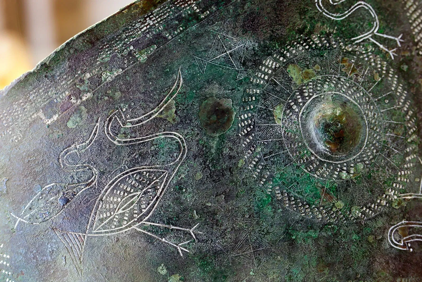 Museo Archeologico Nazionale delle Marche