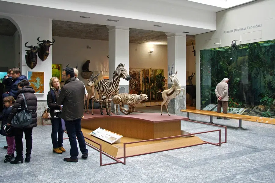 Faraggiana Ferrandi Natural History Museum