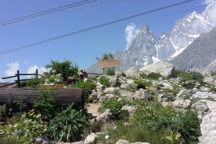 Giardino Botanico Alpino Saussurea