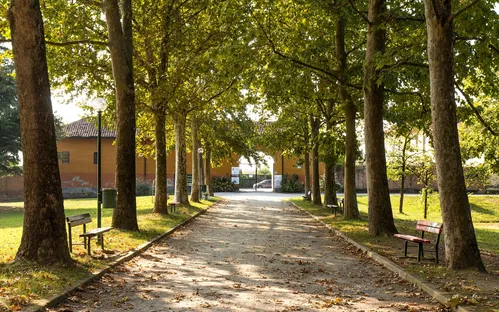 Civic Museum of Natural History in Carmagnola