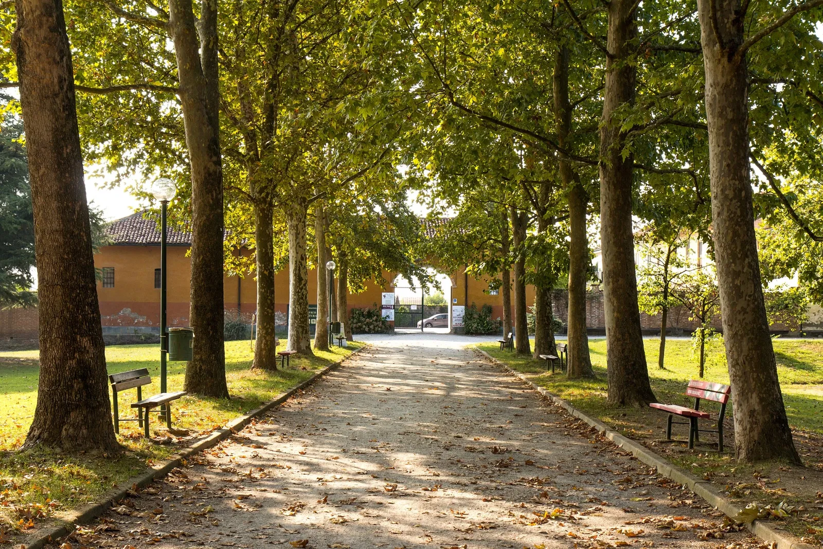 Museo Civico di Storia Naturale di Carmagnola