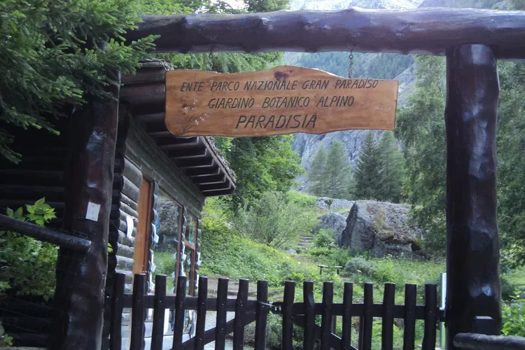 Giardino Botanico Alpino Paradisia