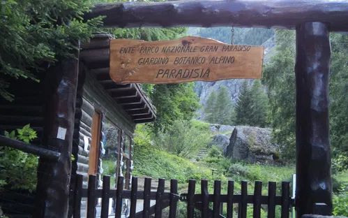 Paradisia Alpine Botanical Garden