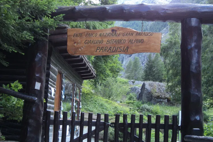 Paradisia Alpine Botanical Garden