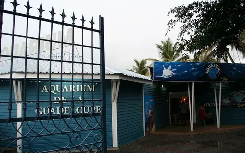 Aquarium of Guadeloupe