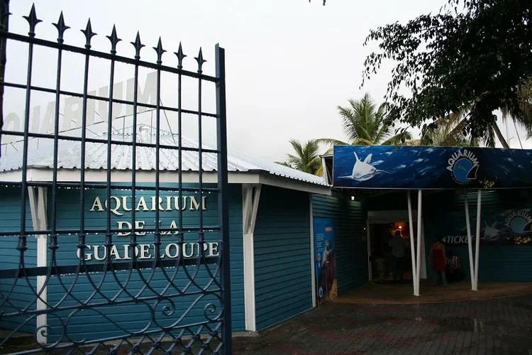 Aquarium of Guadeloupe