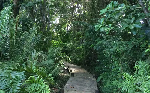 Maison de la Mangrove