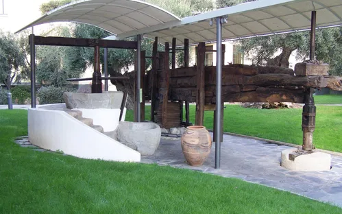 Museo dell'Olivo Carlo Carli