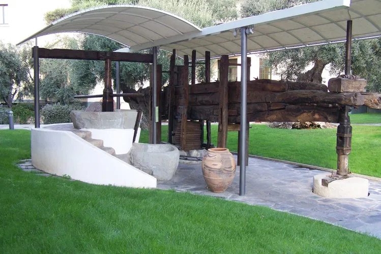 Museo dell'Olivo Carlo Carli