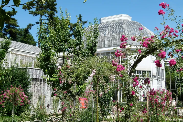 Albert-Kahn Museum and Garden
