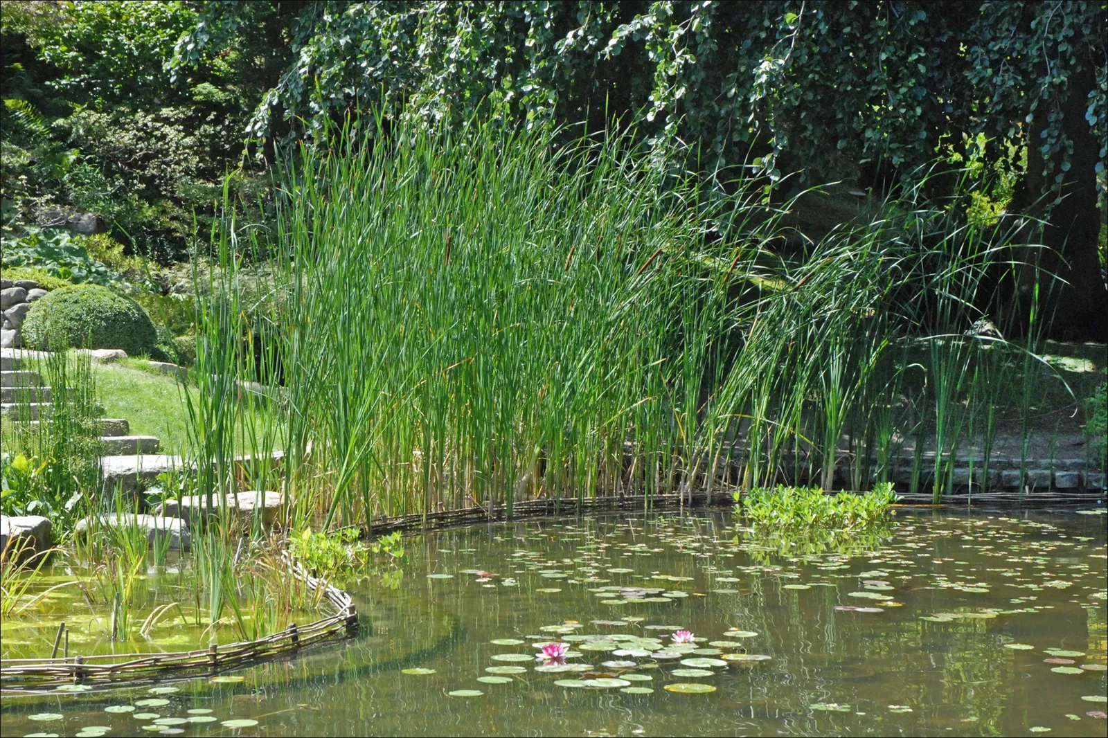 Albert-Kahn Museum and Garden