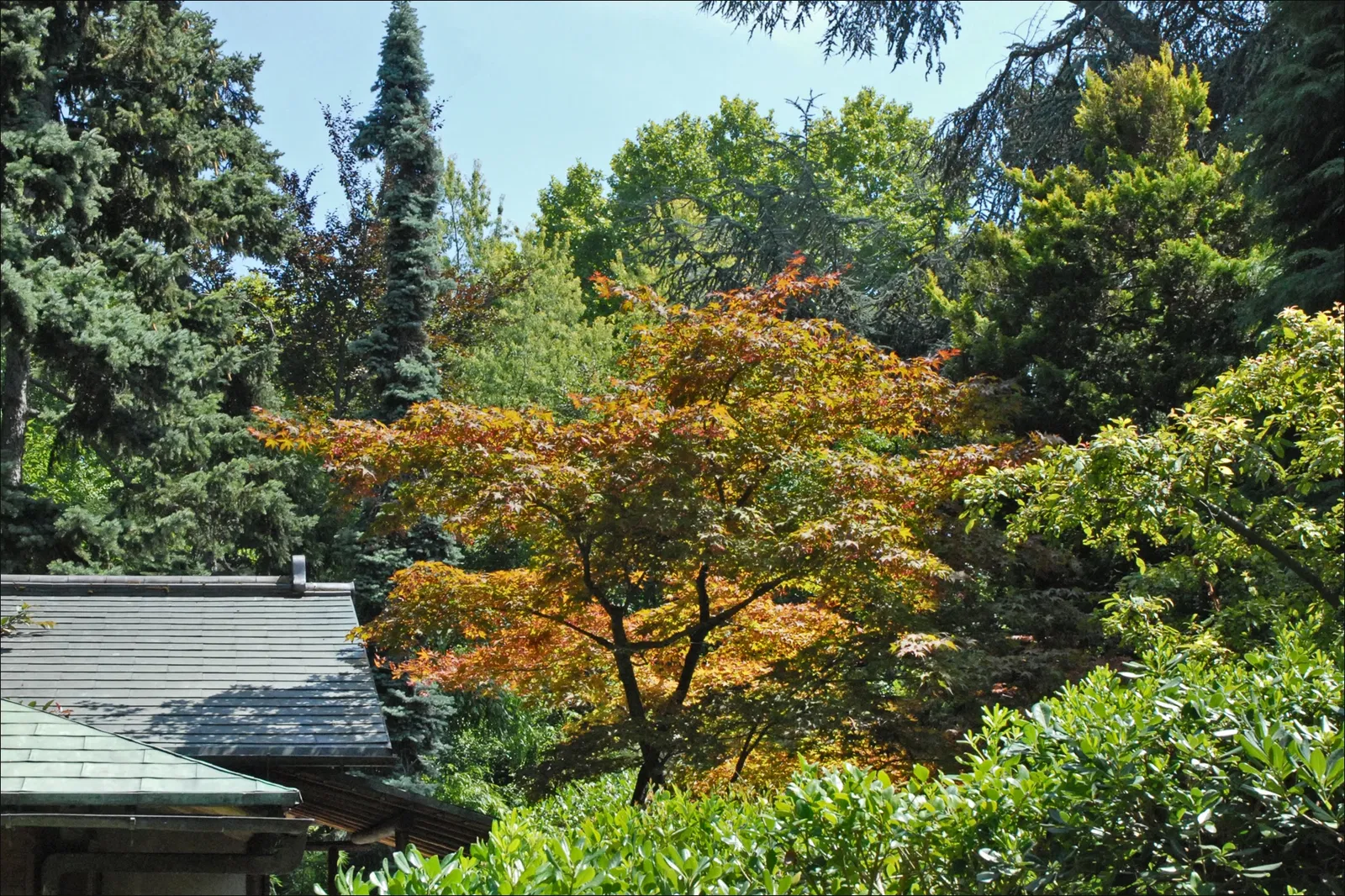 Albert-Kahn Museum and Garden