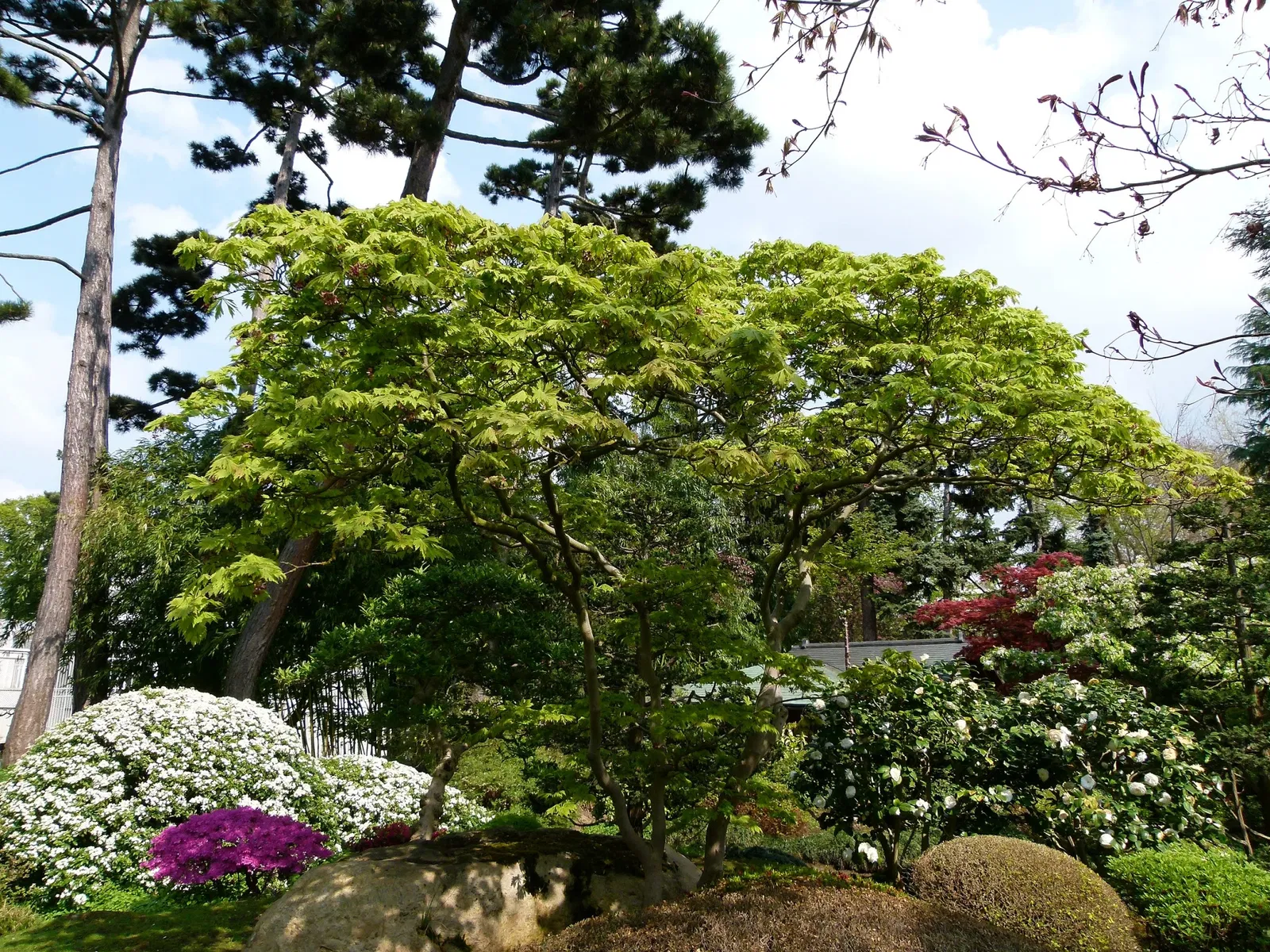 Albert-Kahn Museum and Garden