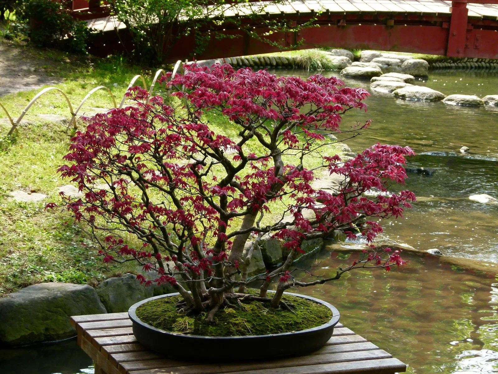 Albert-Kahn Museum and Garden