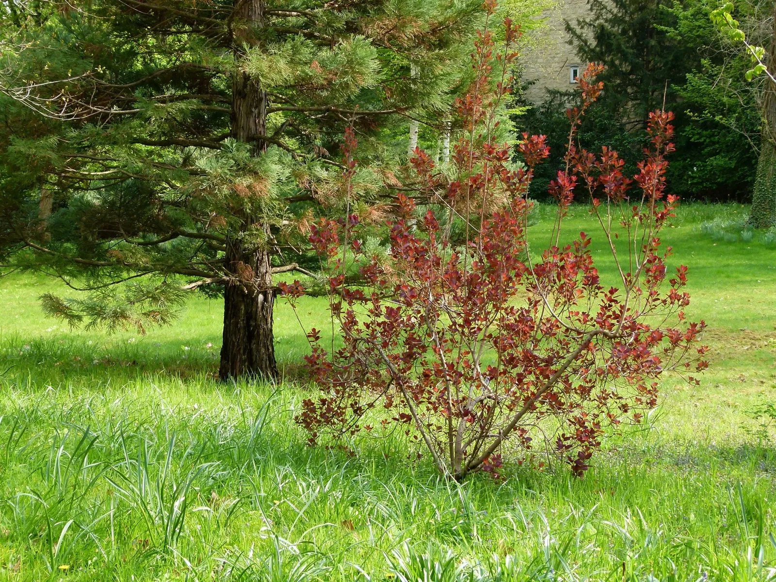 Albert-Kahn Museum and Garden