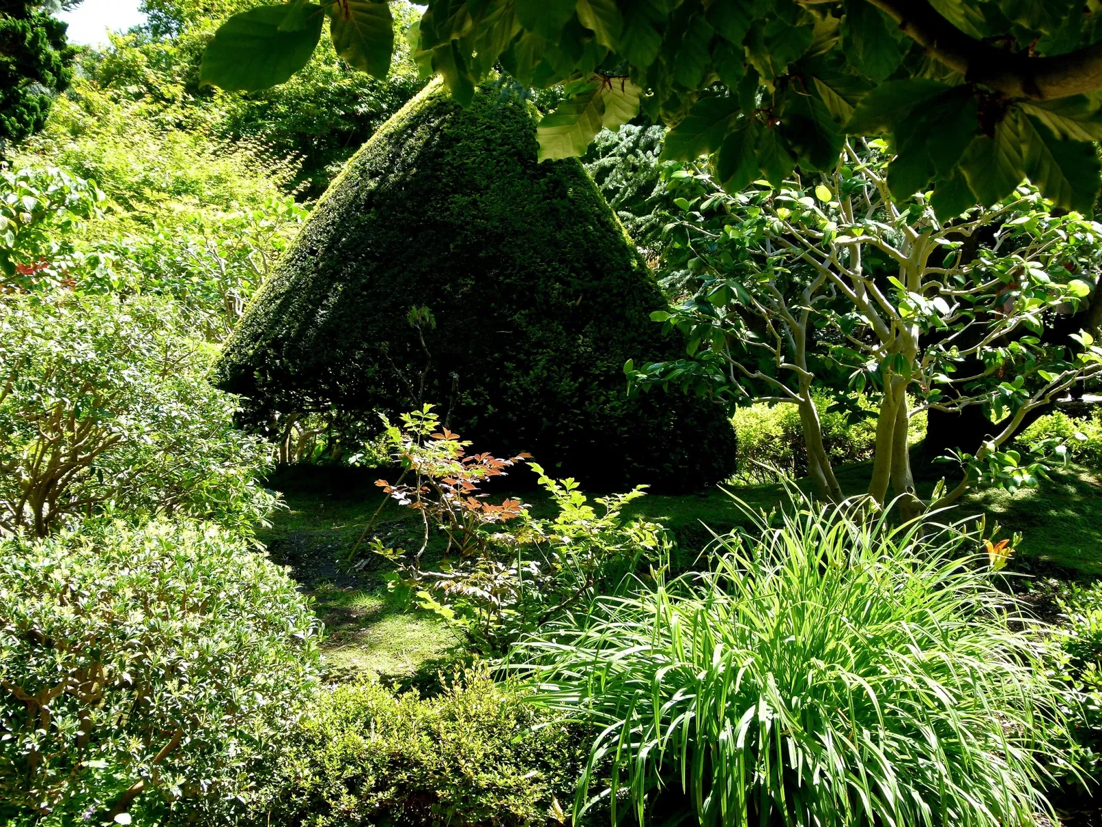 Albert-Kahn Museum and Garden