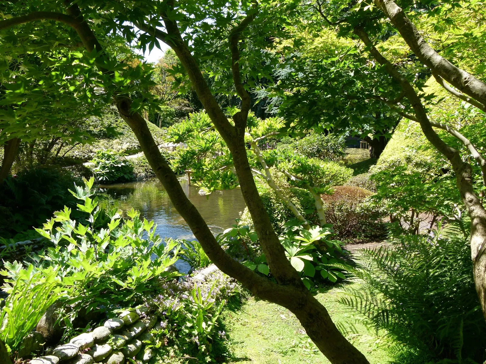 Albert-Kahn Museum and Garden