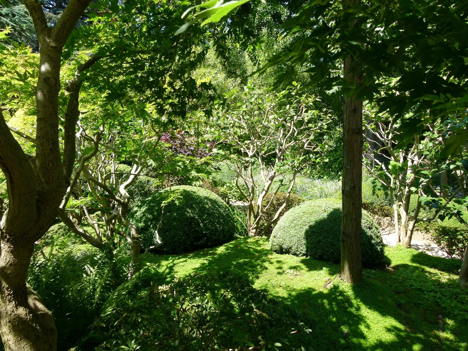 Albert-Kahn Museum and Garden