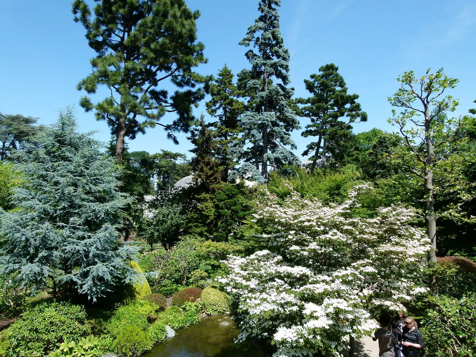 Albert-Kahn Museum and Garden