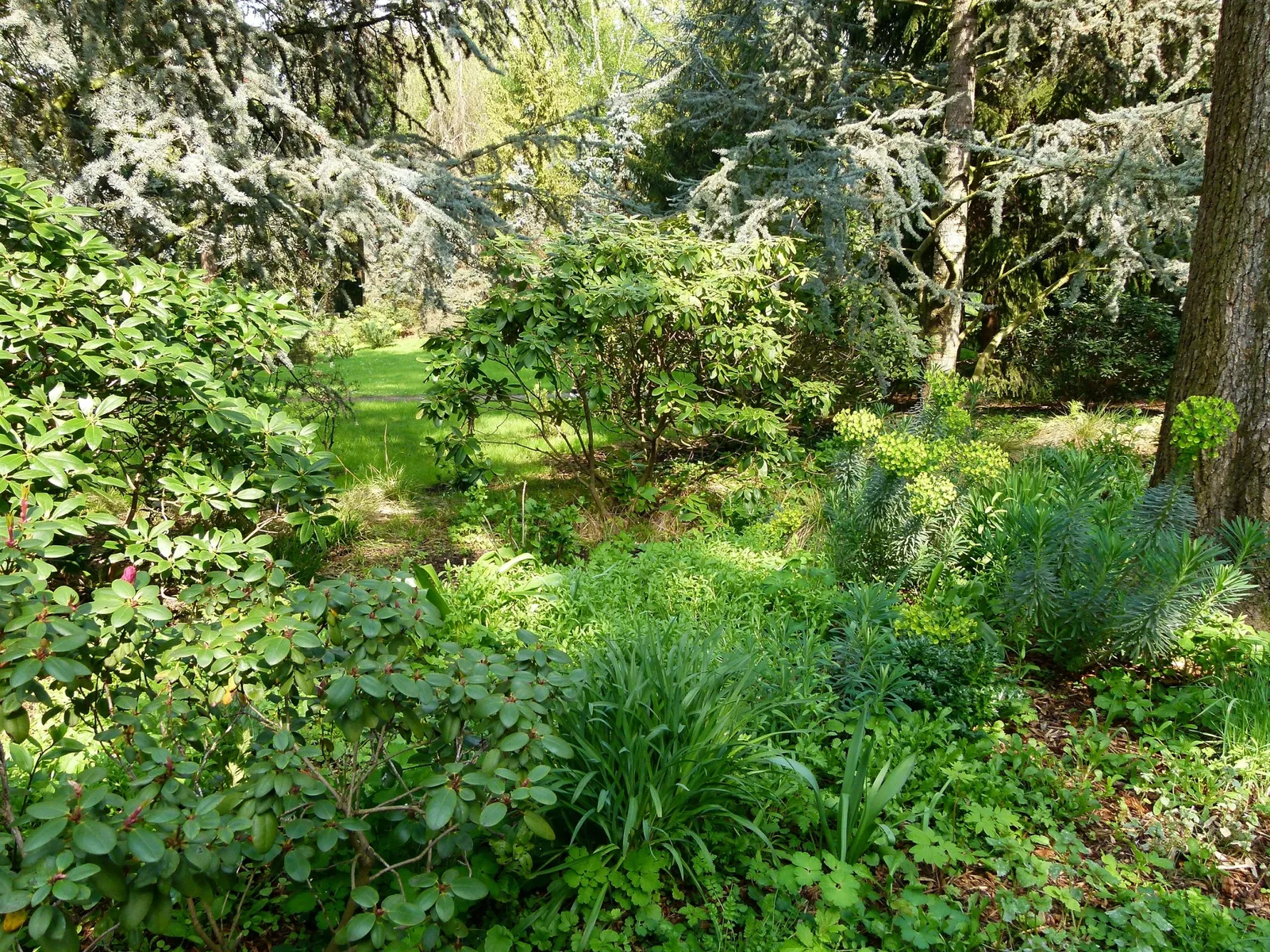 Albert-Kahn Museum and Garden