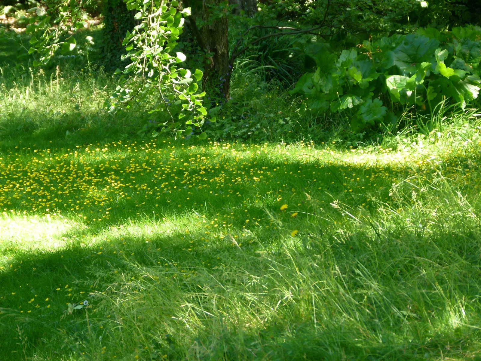 Albert-Kahn Museum and Garden
