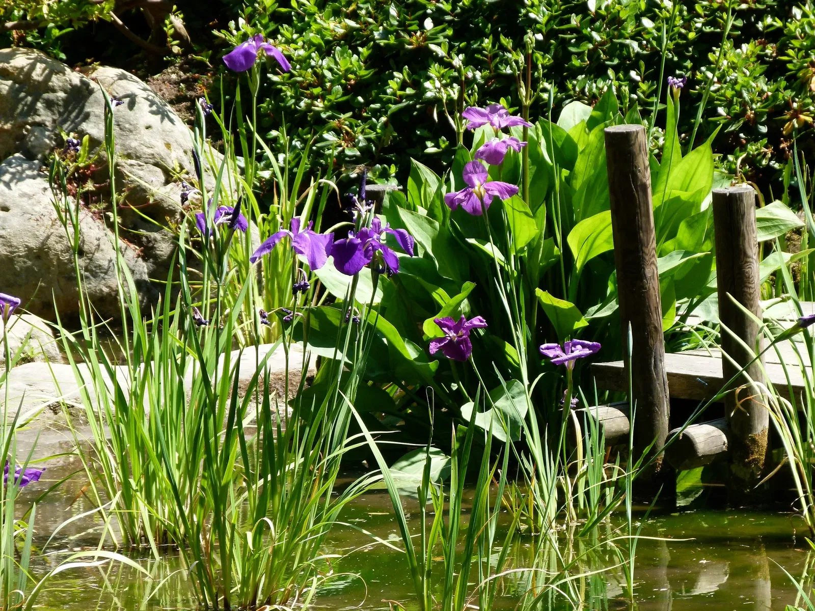 Albert-Kahn Museum and Garden