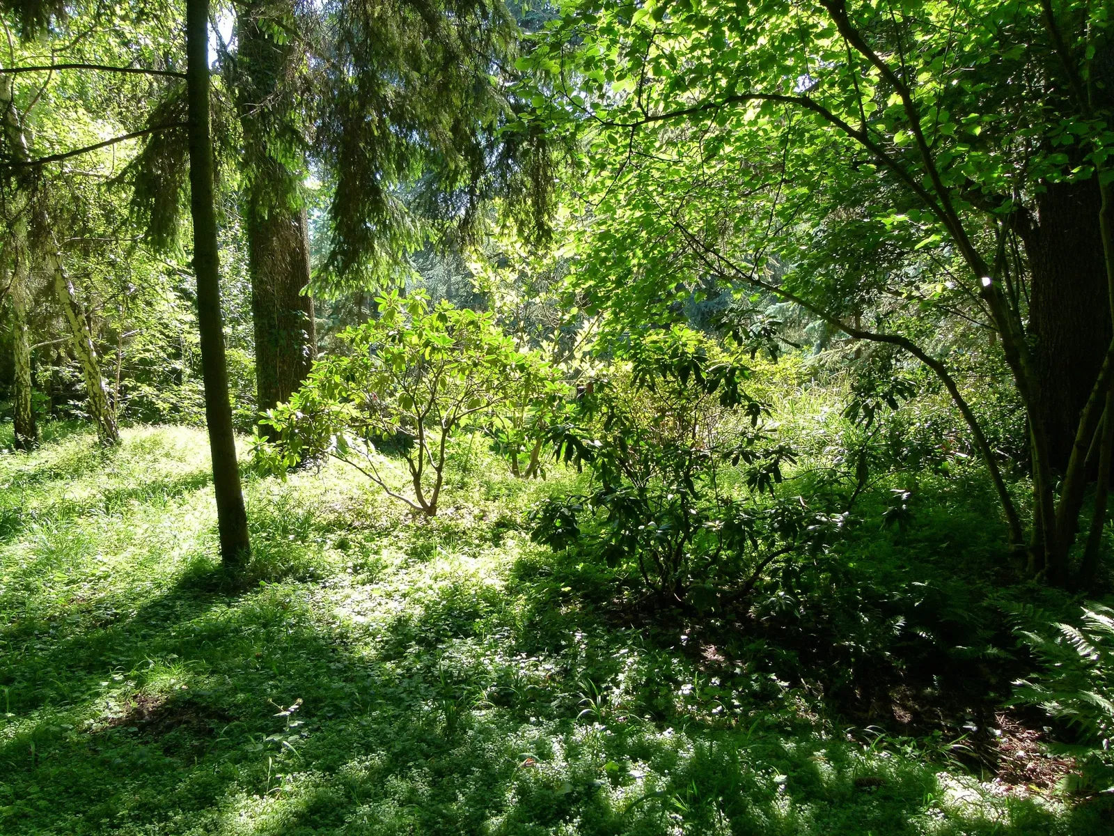 Albert-Kahn Museum and Garden