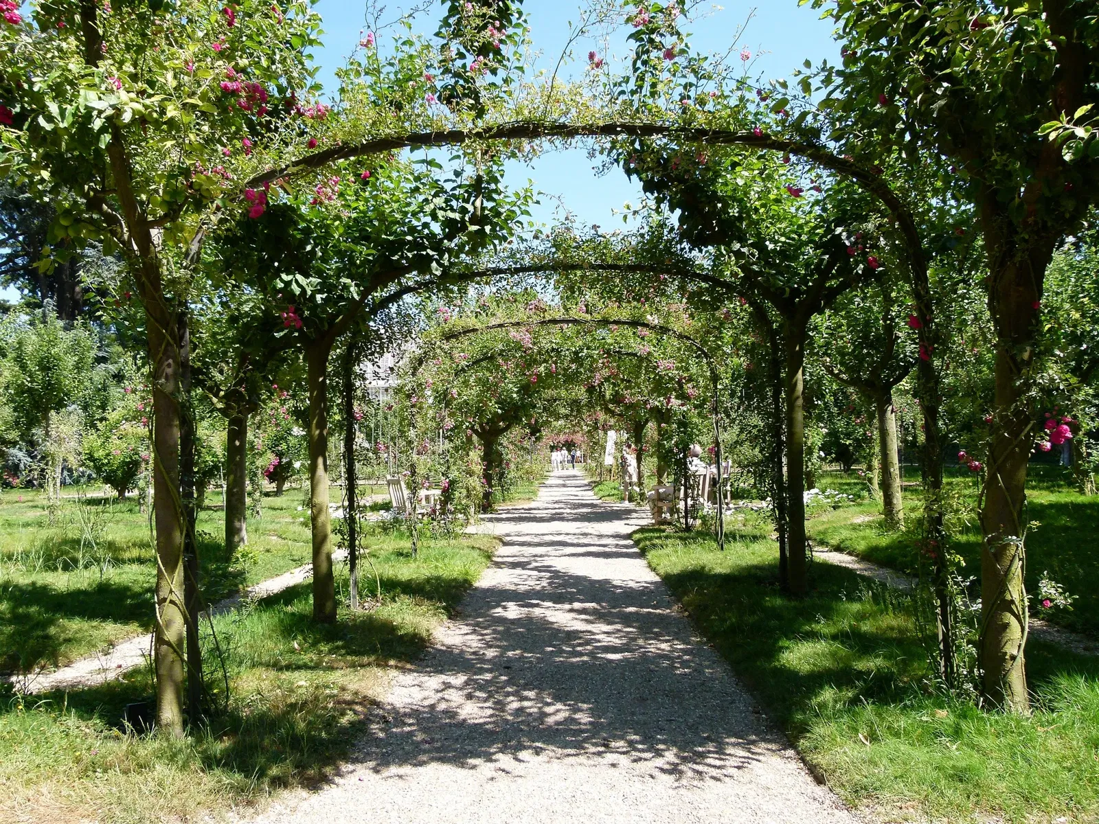 Albert-Kahn Museum and Garden