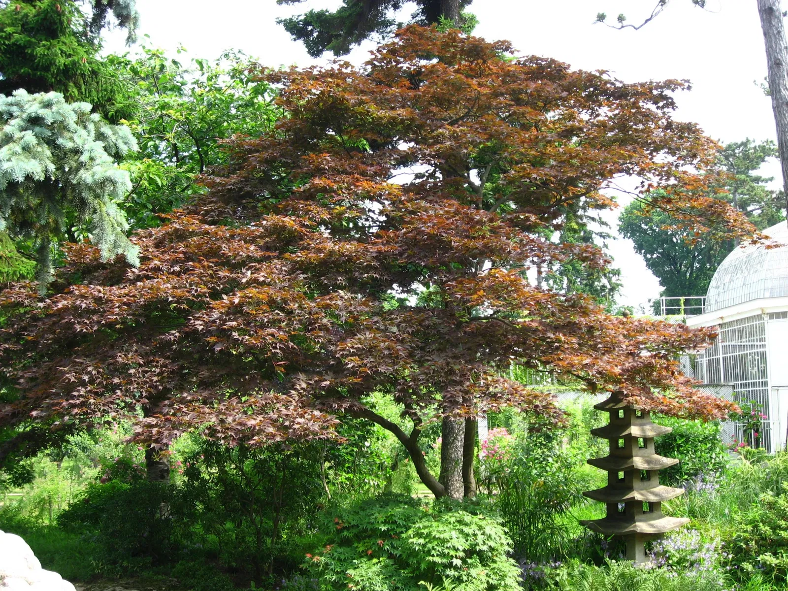Albert-Kahn Museum and Garden