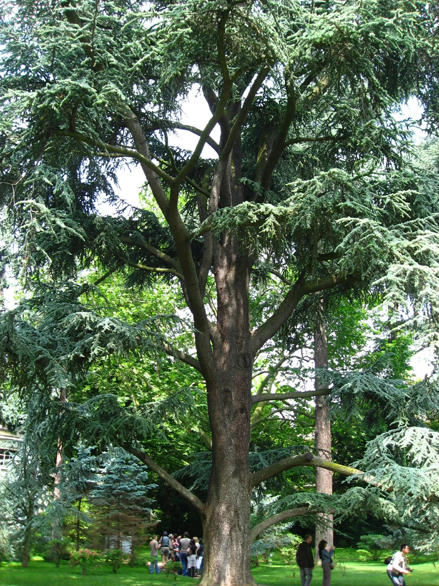 Albert-Kahn Museum and Garden