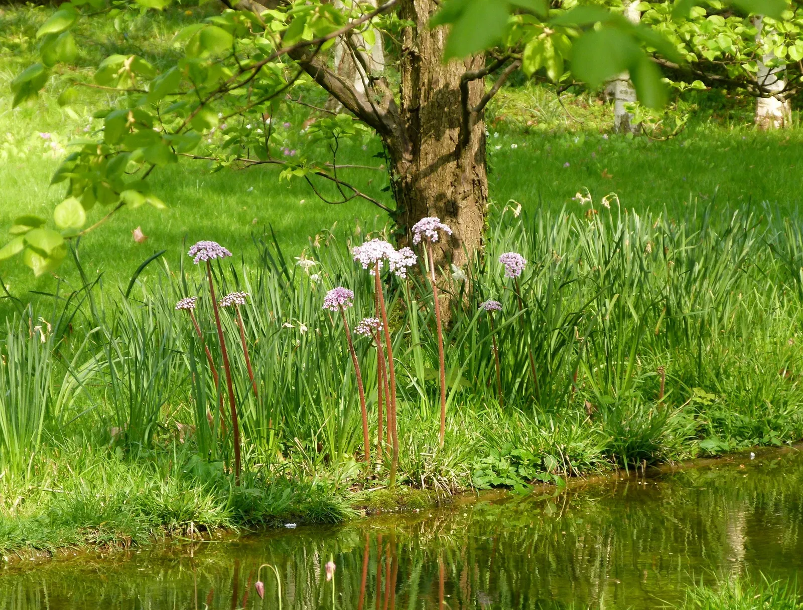 Albert-Kahn Museum and Garden