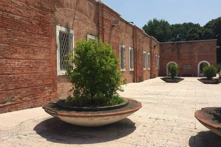 Centro Ambientale Archeologico Museo Civico