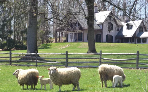 Fosterfields Living Historical Farm