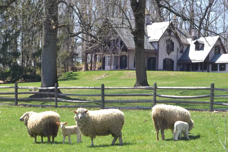 Fosterfields Living Historical Farm