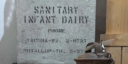 Sanitary Infant Dairy