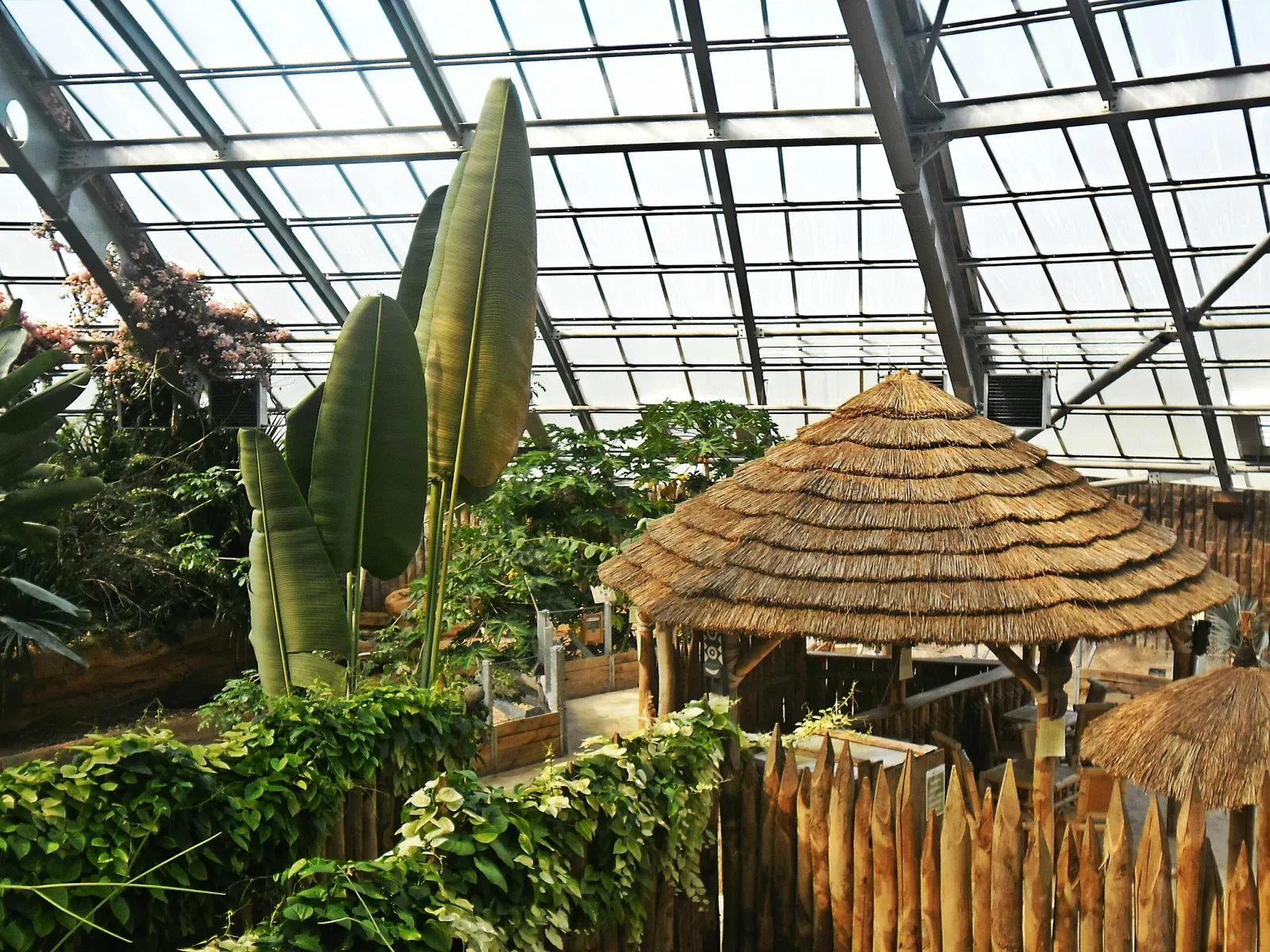 La Planète des Crocodiles