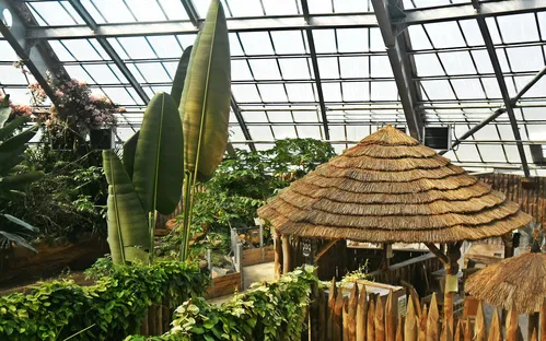 La Planète des Crocodiles