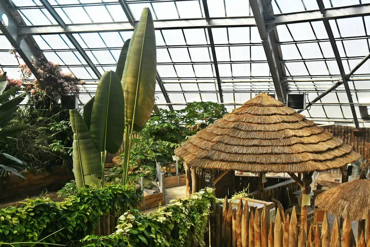 La Planète des Crocodiles