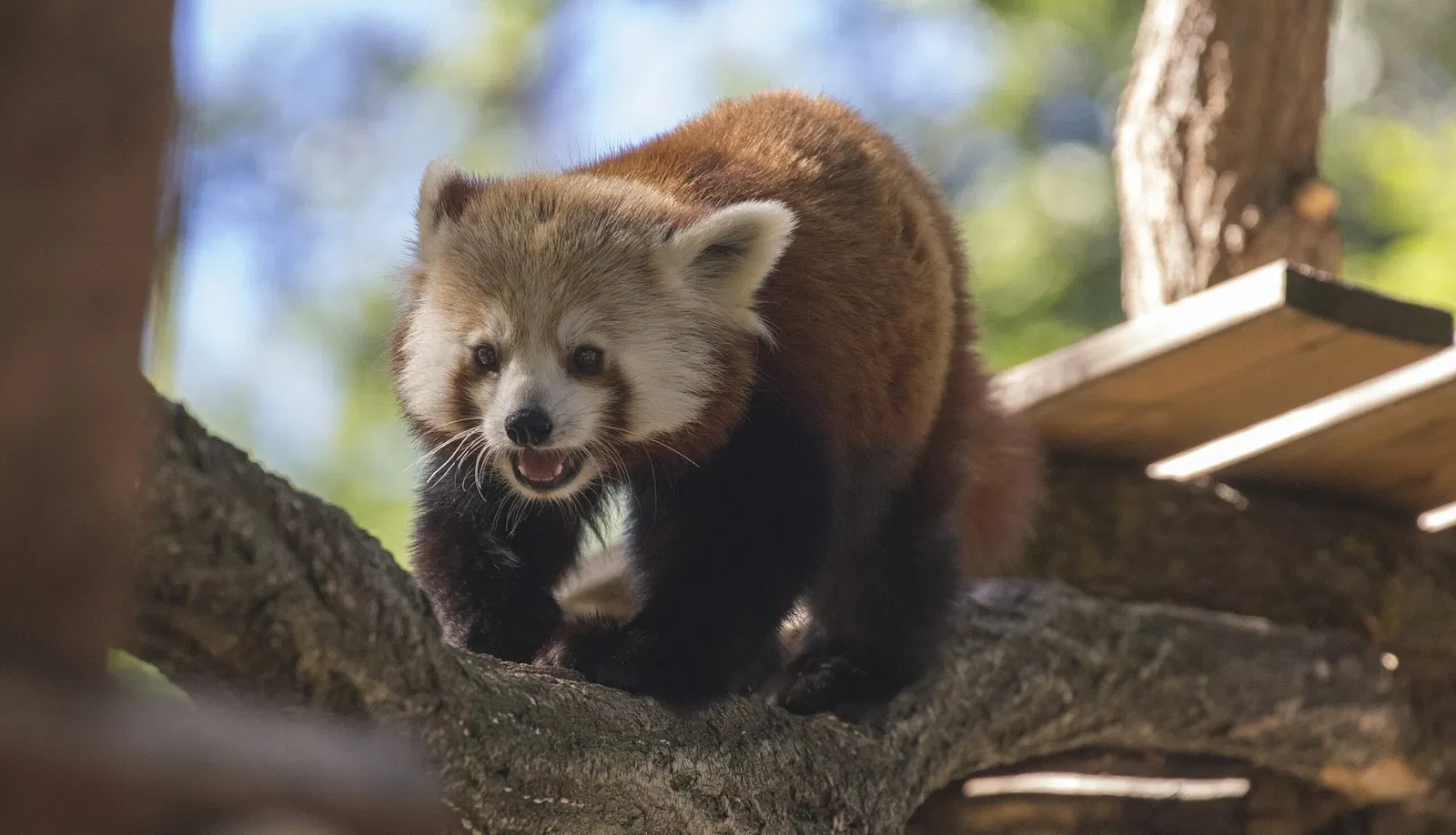 Animal Park Auvergne