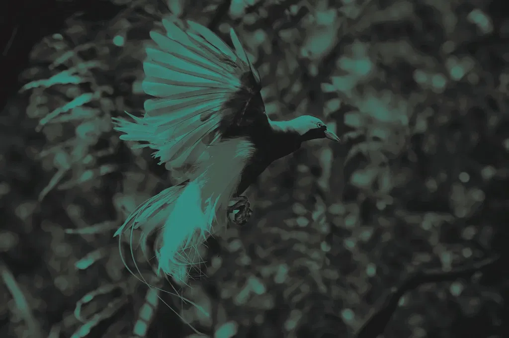Vogels van God