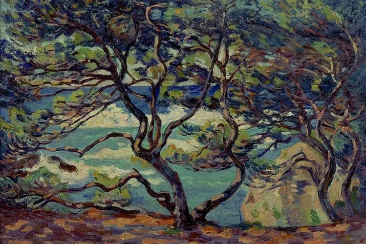 Musée d'Art Moderne et Contemporain