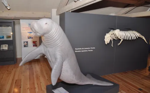 Maison Nature & Patrimoines