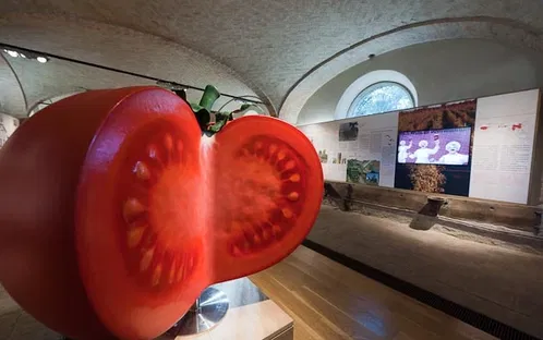 Museo del Pomodoro