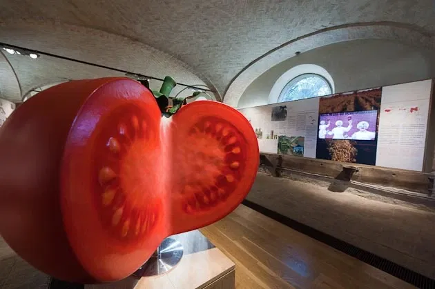 Museum of Tomato