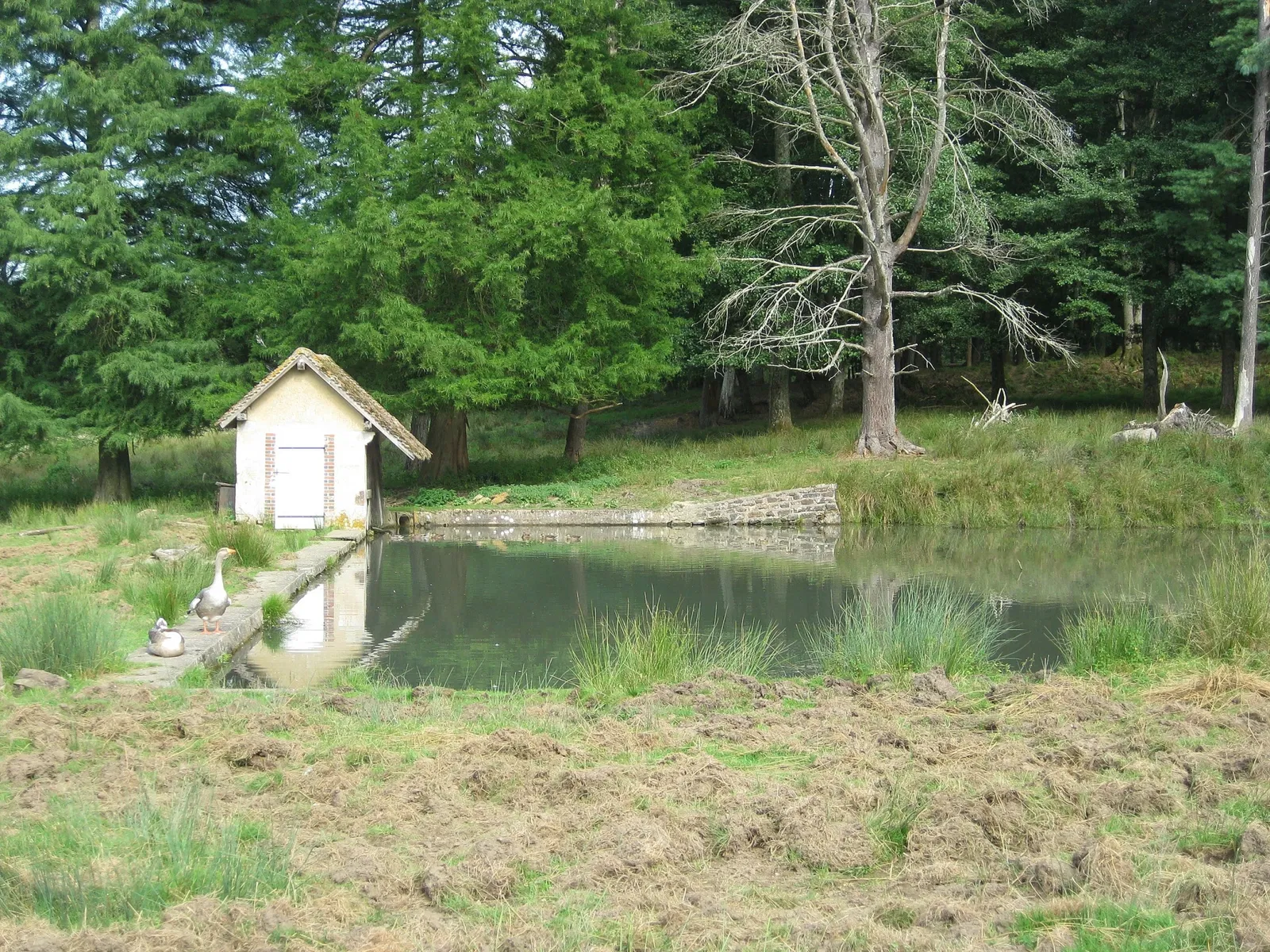Parc Naturel de Boutissaint