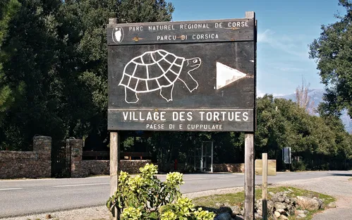 Village des Tortues