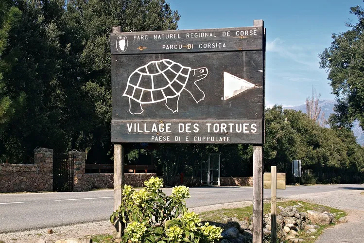 Village des Tortues